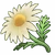 Chamomile (ToV)
