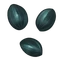Blue Seed (ToS) PS3