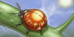 Otentoumushi Discovery (ToD PS2)