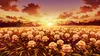 Brightlaze Field