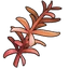 Red Rosemary (ToS) PS3