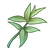 Savory (ToG)