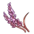 Red Lavender (ToV)