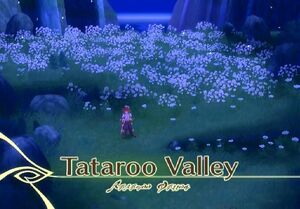 Tataroo Valley (TotA)