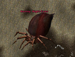 Navrey Night-Eyes