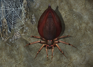 SentinelSpider