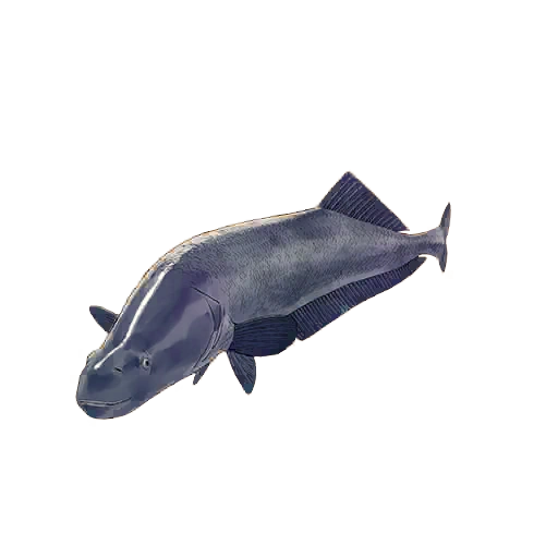 Codex-Bestiary-Fish | Asgard's Wrath 2 Wiki | Fandom