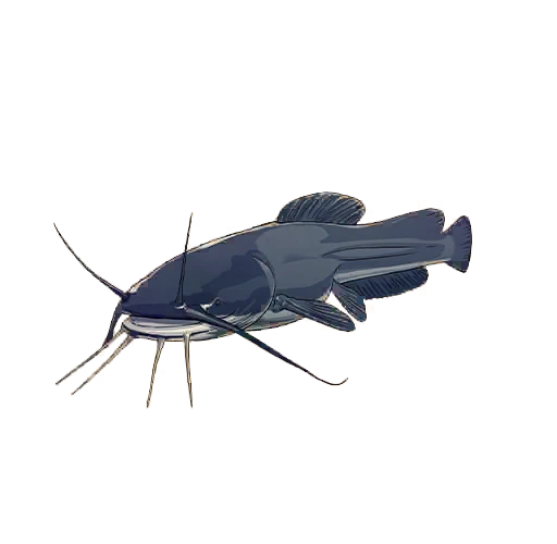 Codex-Bestiary-Fish | Asgard's Wrath 2 Wiki | Fandom