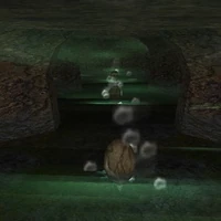 Kor-Gursha: Breeding Grounds?