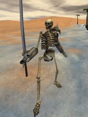 Skeleton Warrior Live