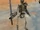Skeleton Warrior