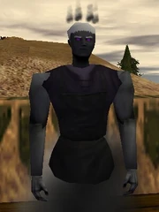 Grand Master Scrivener of Void Magic Live