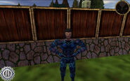 Asheron's Call Mystics