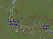 Blackmire Swamp Map