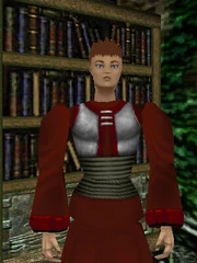 Vermilia the Archmage Live