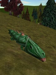 Island Armoredillo Live