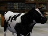 Cow (Creature)