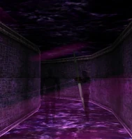 ScreenShot00001.jpg (136 KB) Umbral Hall