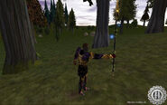 Asheron's Call Mystics