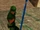 Amateur Explorer Bastone
