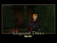 Wayward Prince Splash Screen