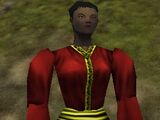 Asheron's Supreme Raiment