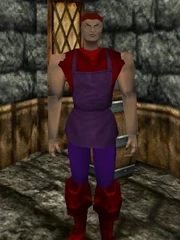 Apprentice Scrivener of Item and War Magic (Level I) Live