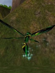 Jungle Phyntos Wasp Live