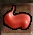 Rust Gromnie Tooth Paste Icon