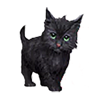 Kitten Pet.png