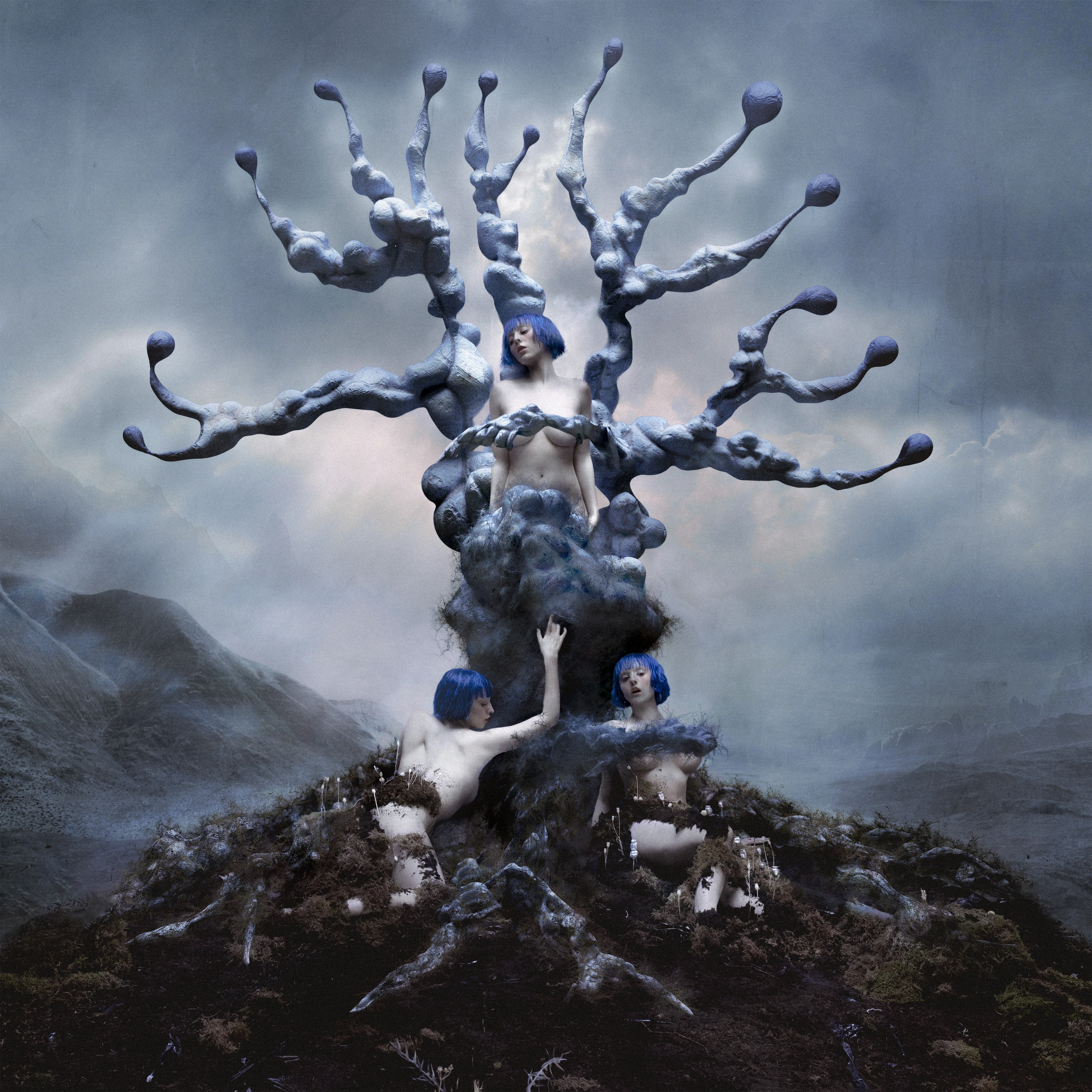 Worms Ashnikko Wiki Fandom