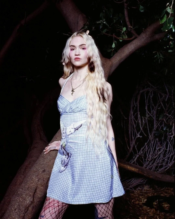 Grimes Ashnikko Wiki Fandom