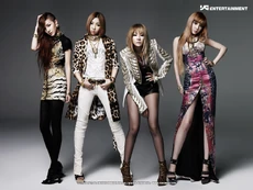 2NE1 | Asian Pop Wiki | Fandom