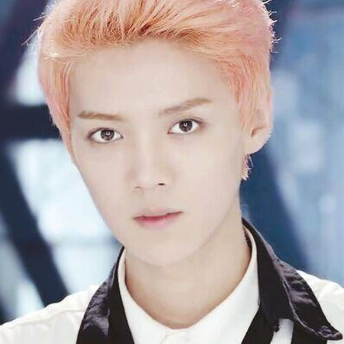 Exo 루 한 Luhan IKON LA 130825 루 한 LuHan 鹿晗 Luhan HD wallpaper  Pxfuel