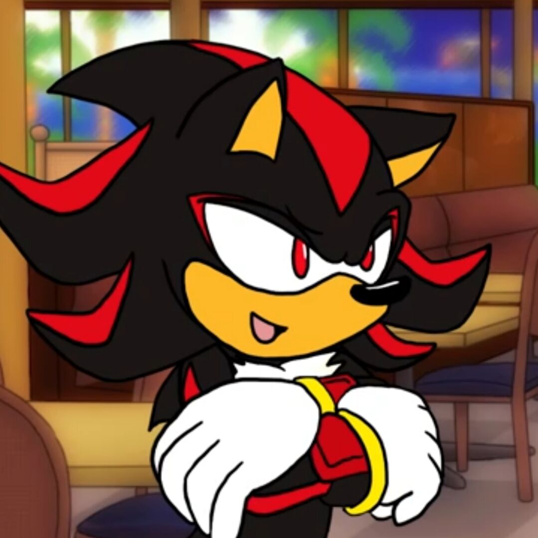 Shadow the Hedgehog (Sonic X), Heroes Wiki