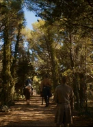 Oathkeeper Jaime.png (346 KB) 詹姆遵守了诺言,让布蕾妮离开君临去找珊莎·史塔克。