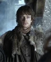 Ice's wolf-pelt scabbard, seen in the first episode of Season 1.