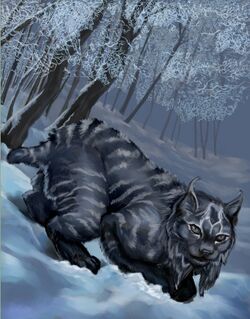 VeronicaV.Jones Shadowcat