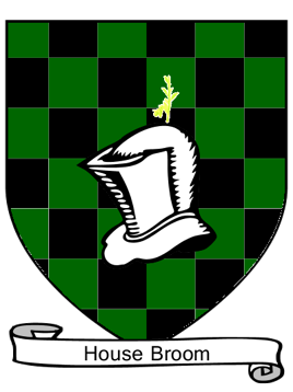 House Broom