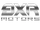 BXR Motors