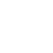 Favicon-vision white.png
