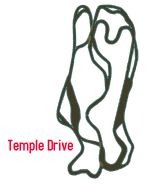 Track layout