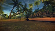 A shot of the jungle in French Guiana.