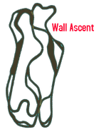 Track layout