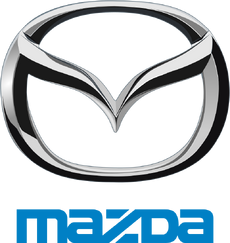 サンフレッチェ広島　ハーフジップ XL Mazdaロゴ サンフレッチェ広島 (サンフレッチェヒロシマ) サッカー