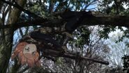 Hayami hanging on a tree branch