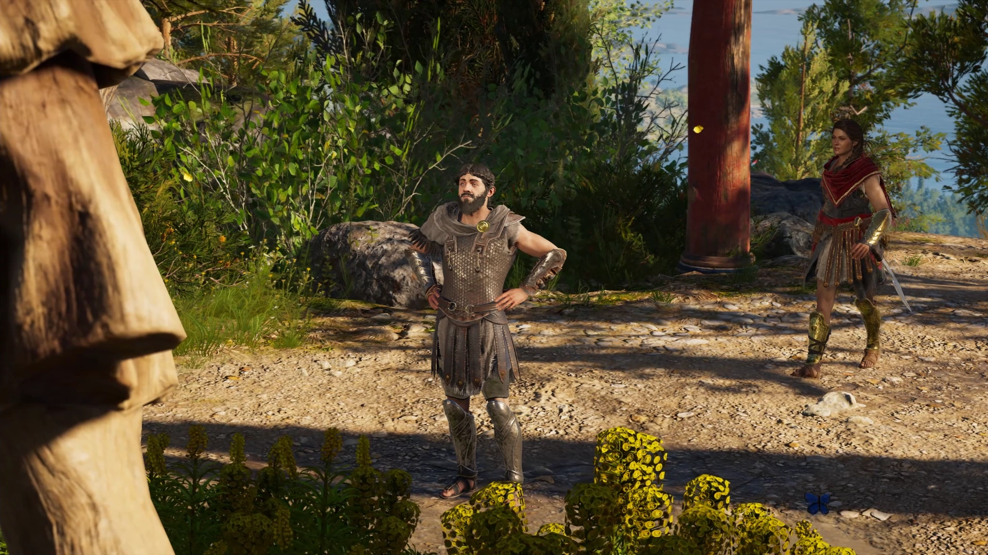 To Kill Or Not To Kill Assassin S Creed Wiki Fandom