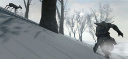 Connor-stalking-deer-2