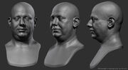 Head sculpts of Louis