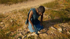 ACOd-Polykleitosdesperate